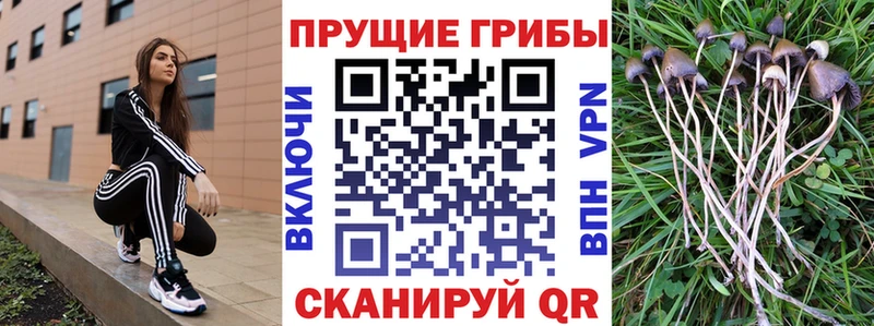 Псилоцибиновые грибы прущие грибы  кракен ТОР  Тейково 